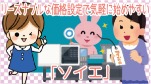 4位　リーズナブルな価格設定で気軽に始めやすい「ソイエ」